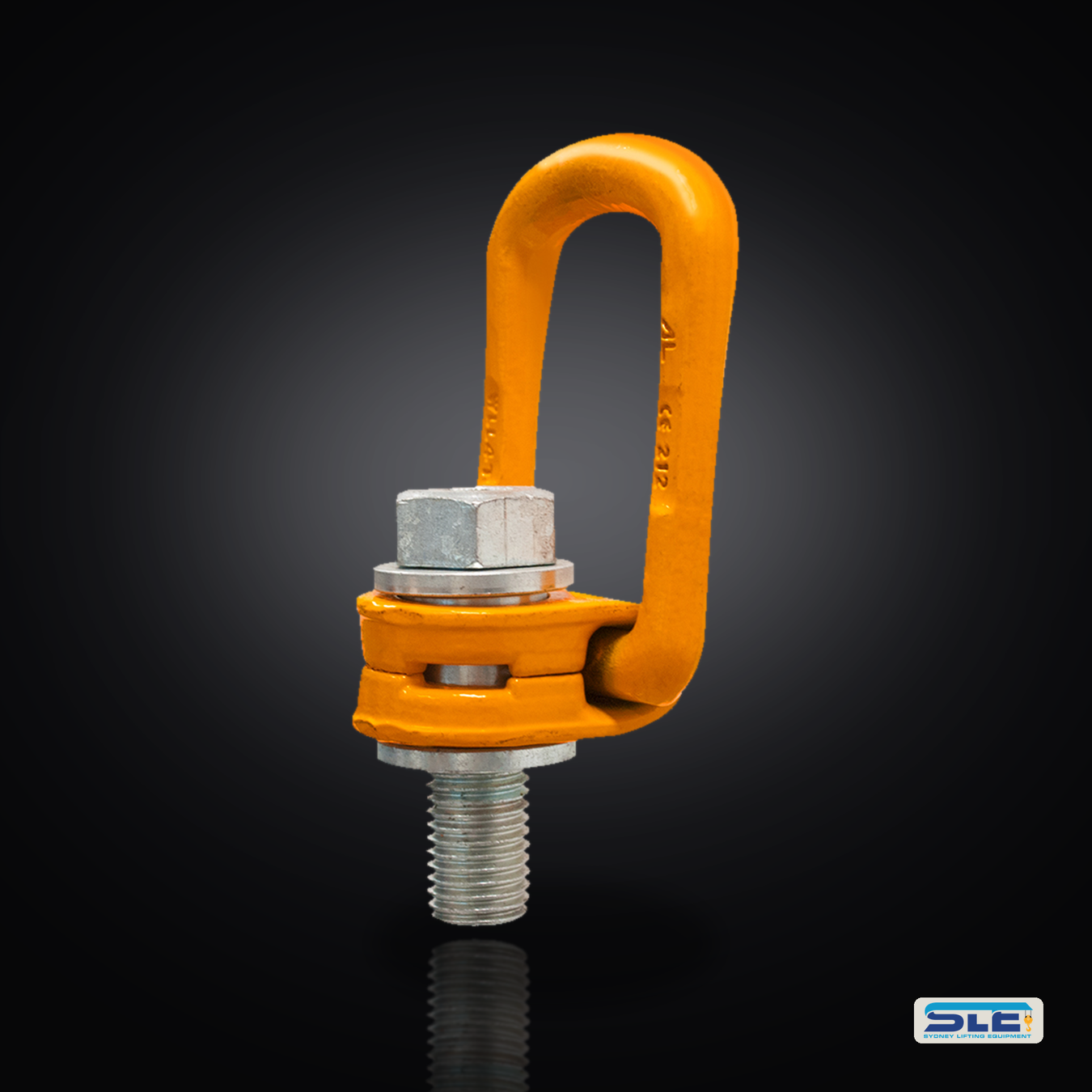 Rated shackles, eye bolts and chain slings organised by tonnage on an SLE rigging store board